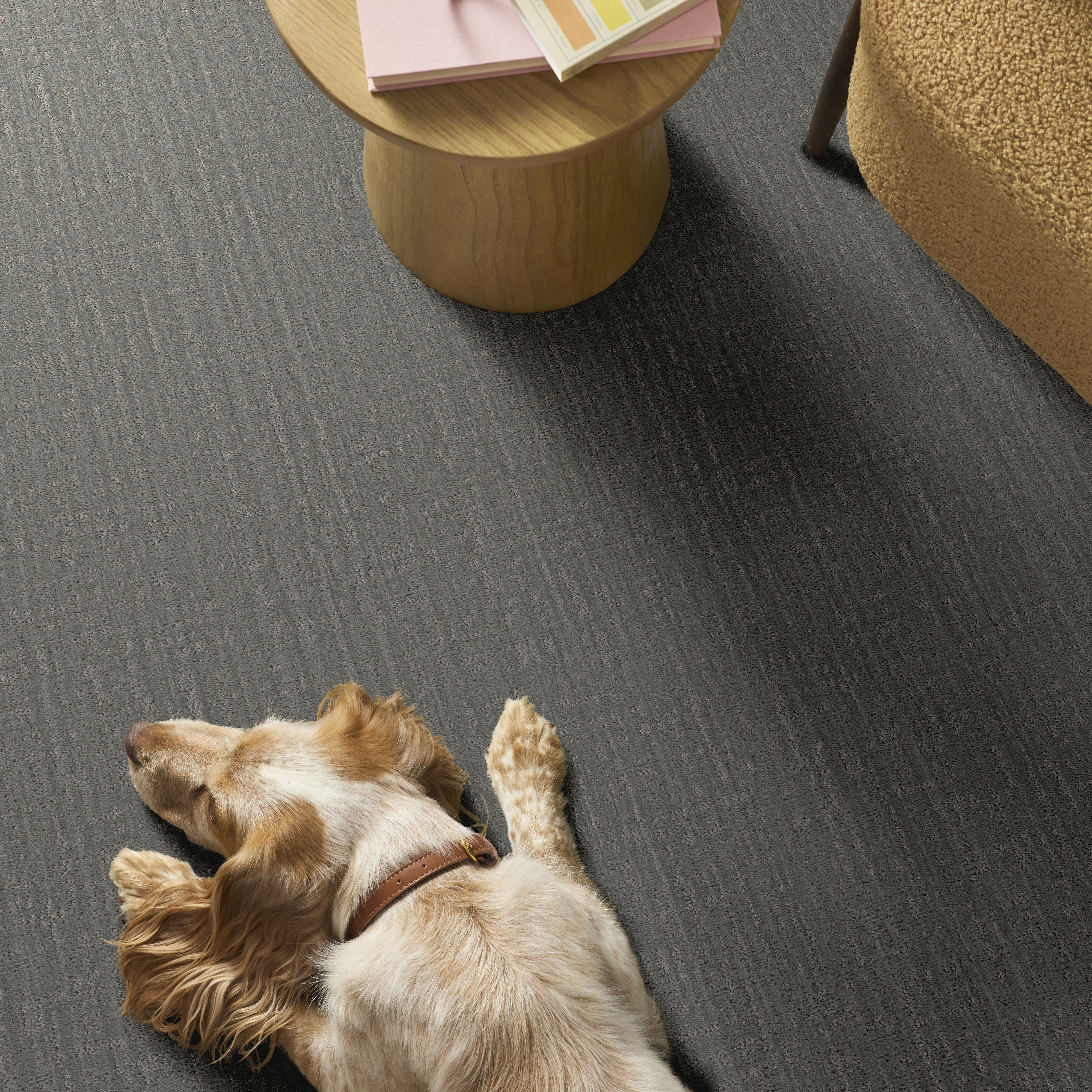 Shady Stroll - Sheer Taupe Carpet | Shaw Floors